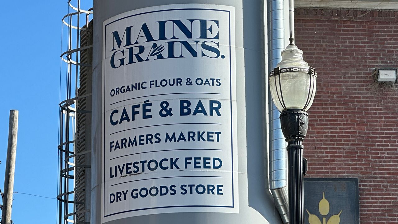 Maine Grains