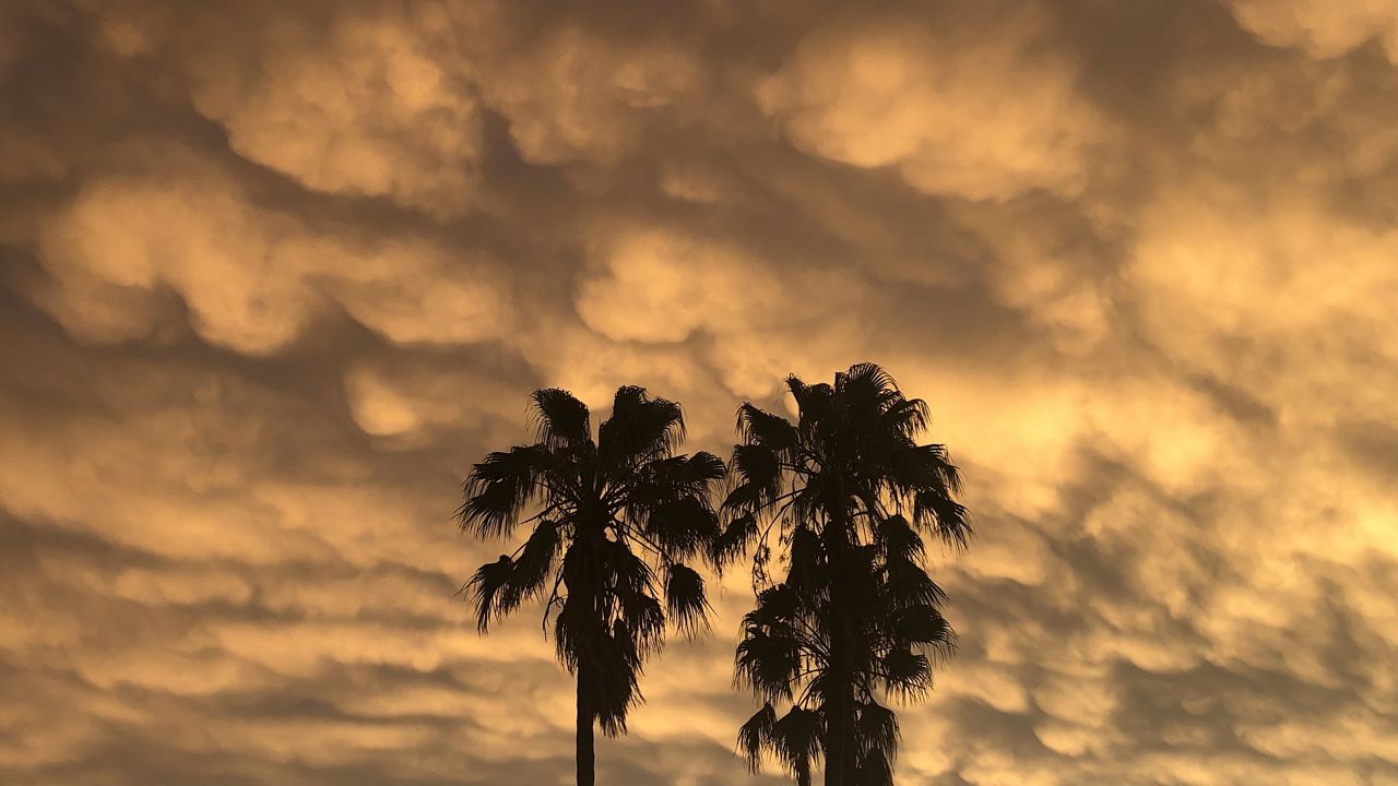 (Spectrum News/Bryan Karrick)
