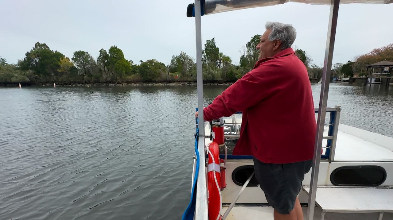 Manatees could travel further into the Gulf this winter