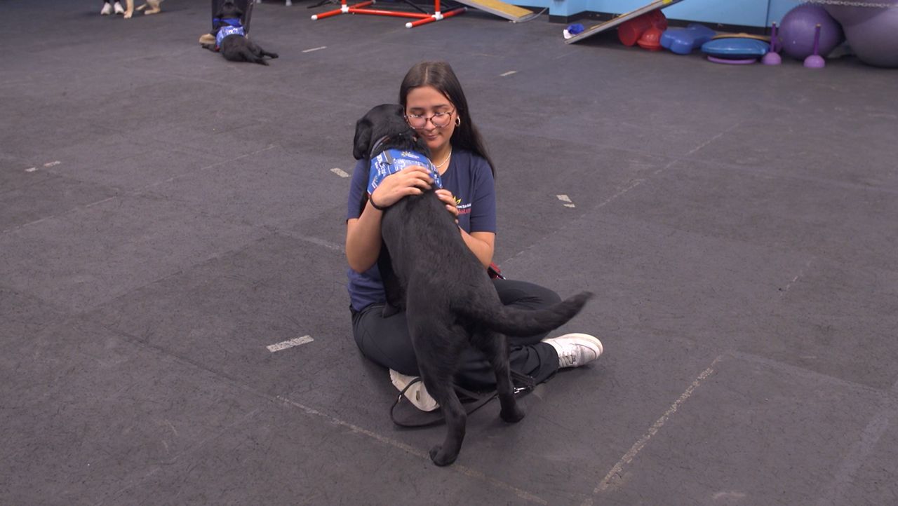 Young people find mental health support in four-legged friends