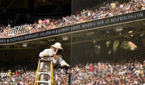 Alfaro mashes 3-run HR in 9th, Padres beat Marlins 3-2