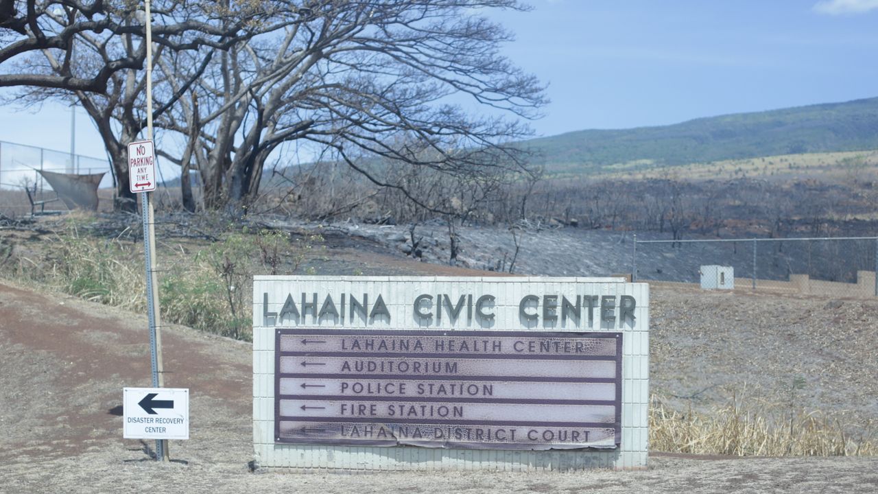 A sign points people towards the Lahaina Comprehensive Health Center. In the background, a field of burned shrubs appears in contrast. (Brian McInnis/Spectrum News)