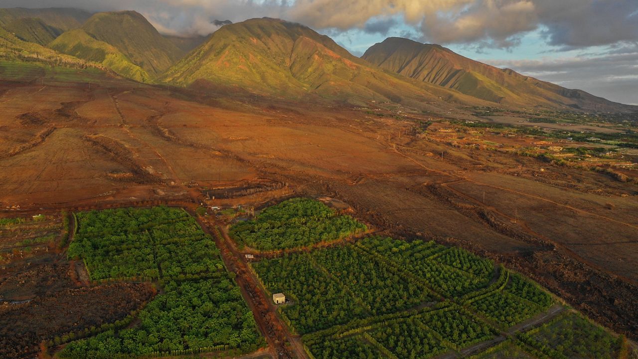 Maui Kuʻia Estate Chocolate (Photo courtesy of Maui Chocolate Tour)