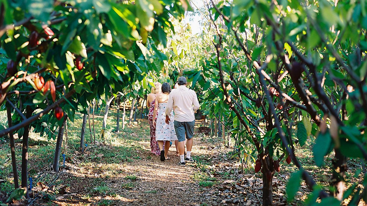 (Photo courtesy of Maui Chocolate Tour)