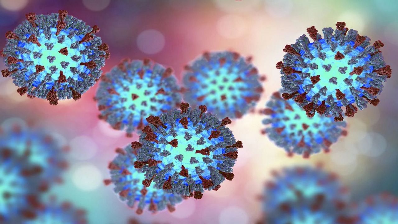 The measles virus. (Photo courtesy of the Centers for Disease Control and Prevention)