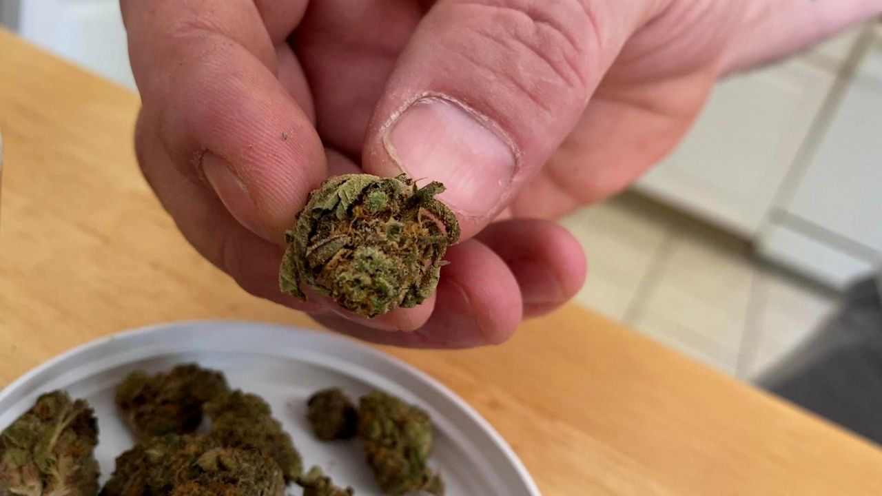 Douglas Cox shows some of the medical cannabis he's obtained from other states where it is legal. He's opening to open a medical dispensary when medical marijuana becomes legal in Kentucky. (Spectrum News 1/Sam Knef)