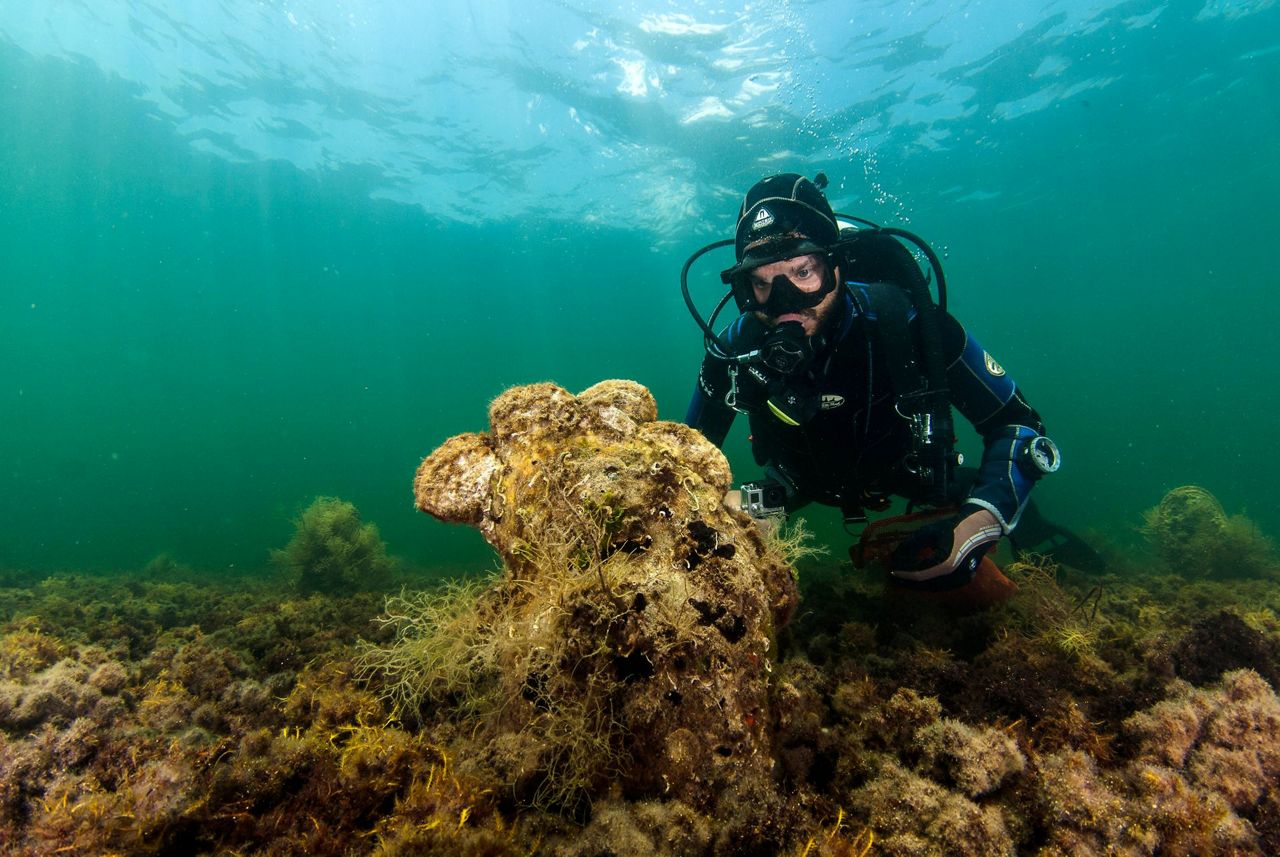 Parasite decimates giant clam species in the Mediterranean