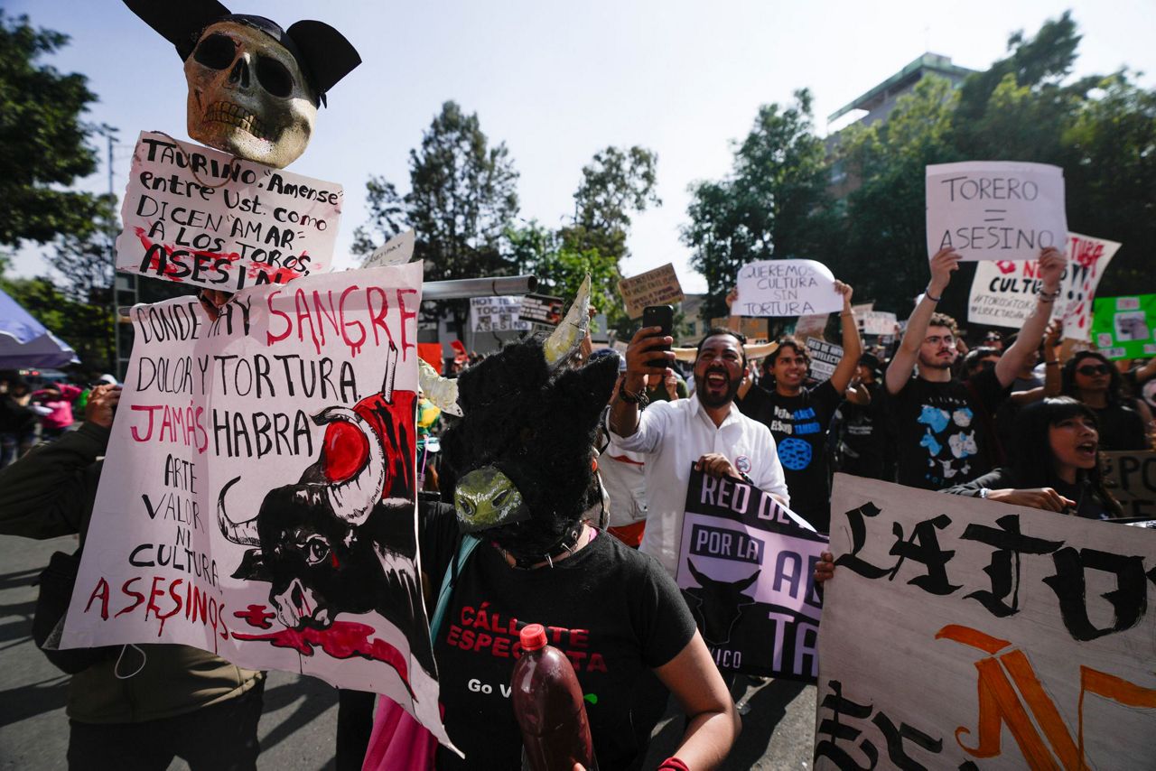 Bullfighting set to return to Mexico City amid legal battle between ...