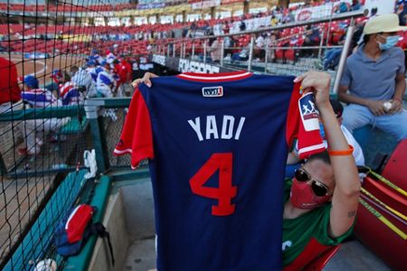 Yadi Jersey 