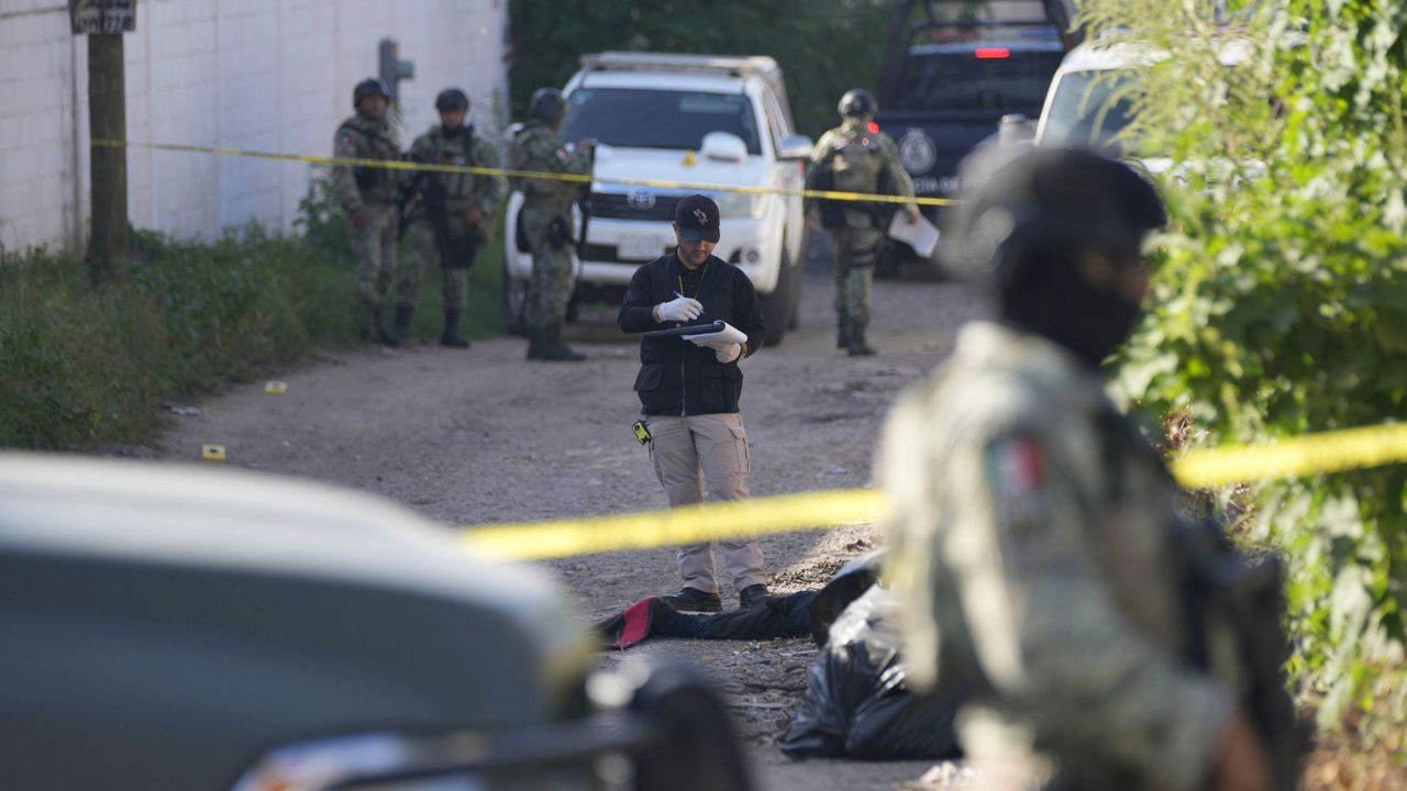 Forensic investigators work at the site of a body lying in the street in La Costerita, Culiacan, Sinaloa state, Mexico, Thursday, Sept. 19, 2024. (AP Photo/Eduardo Verdugo)