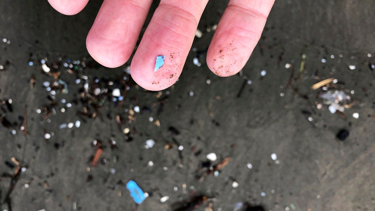 This Jan. 19, 2020 photo shows microplastic debris that has washed up at Depoe Bay, Ore. Dozens of scientists from around the U.S. West will attend a gathering this week in Bremerton, Wash., to better focus the research on the environmental threat. (AP Photo/Andrew Selsky)