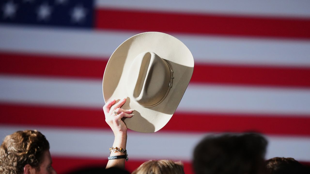 How Early 2026 Primaries Signal Shifts in US Elections