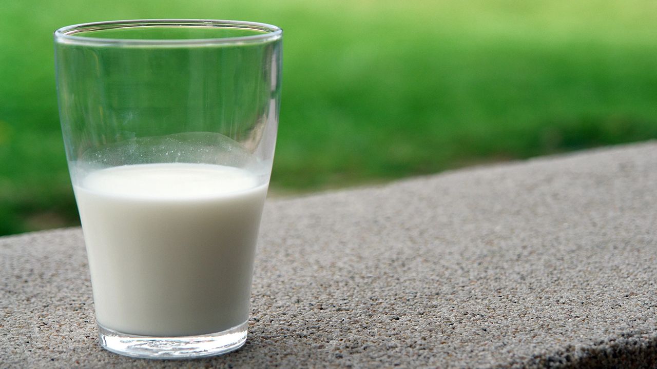 Les substituts du lait à base de plantes soulèvent les problèmes d’allergie aux noix