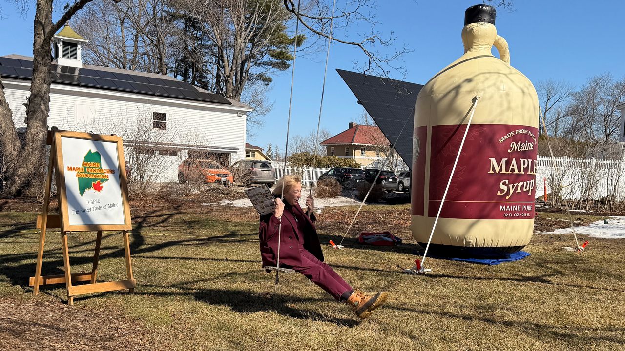 Maine maple trees on track for ‘productive’ season