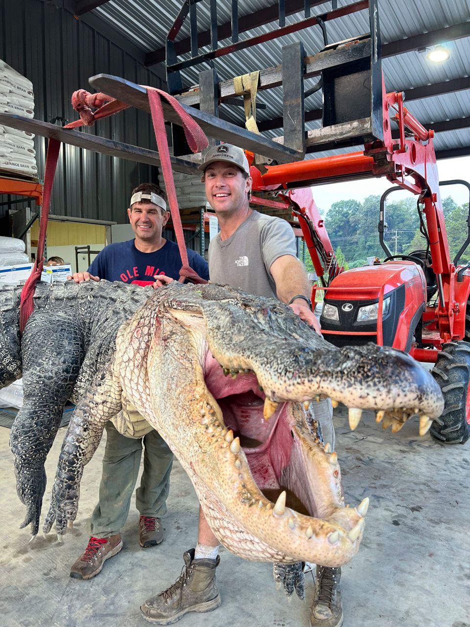 Longest alligator in Mississippi history captured by hunters