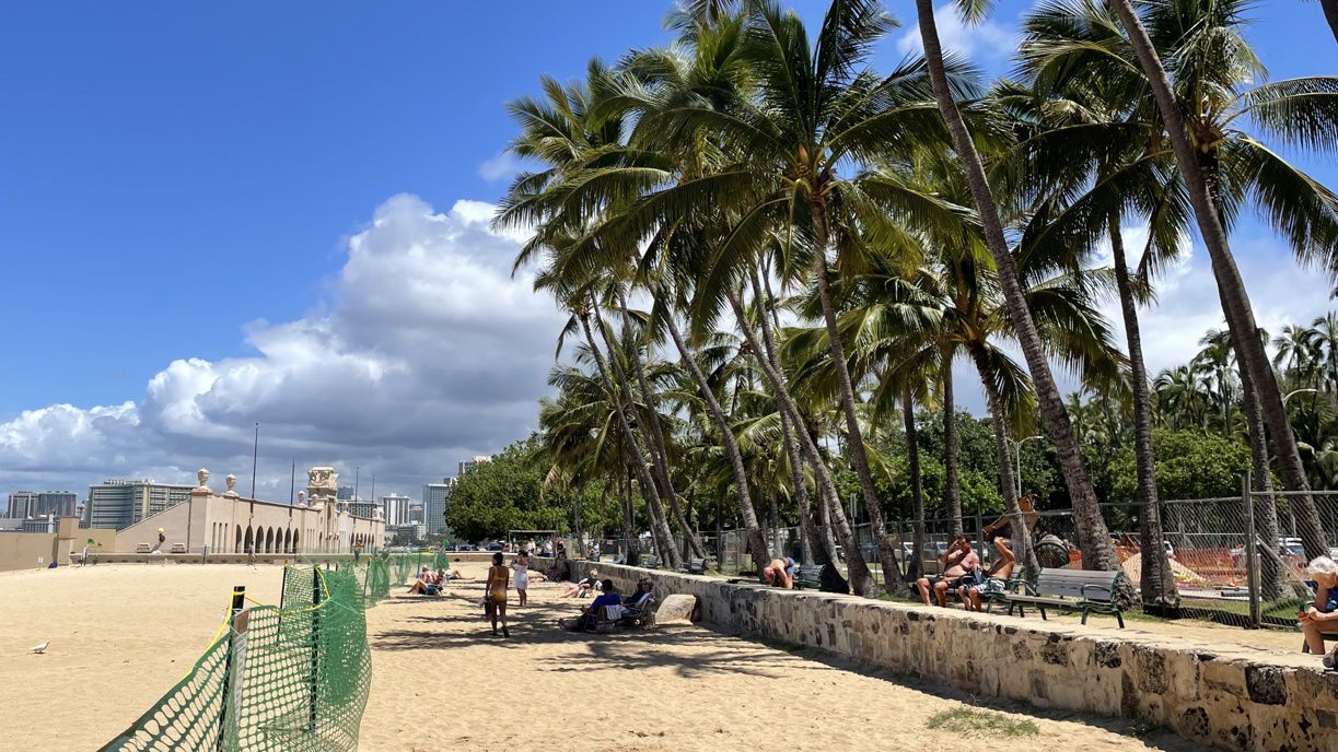 Kaimana Beach is restricted by a temporary fence, allowing Kaiwi and her monk seal pup time to nurse and bond. (Spectrum News/Michelle Broder Van Dyke)