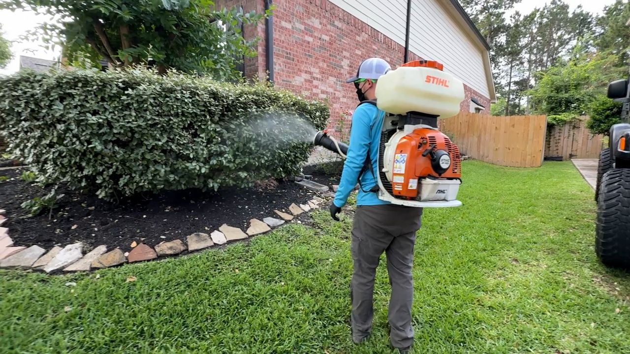 Orkin: Texas cities rank among top 10 in U.S. for mosquito activity