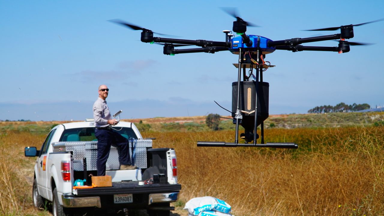 Drone pilot John Savage flies the hexacopter drone loaded with anti-mosquito bacterial spore pellets at the San Joaquin Marsh Reserve at University of California in Irvine, Calif., on June 27, 2023. (AP Photo/Eugene Garcia)