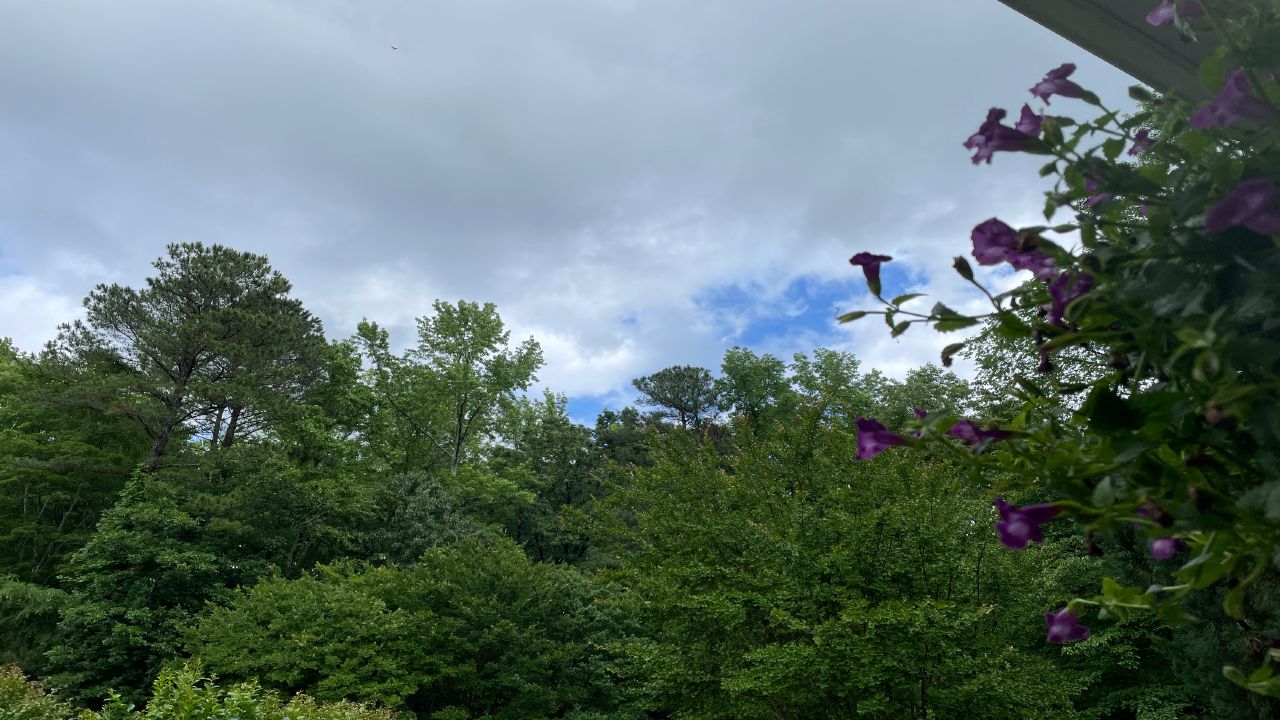 mostly cloudy