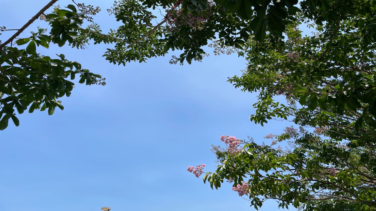 sun