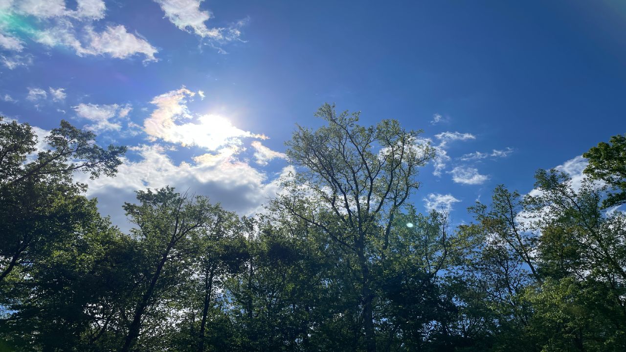 Texas weather