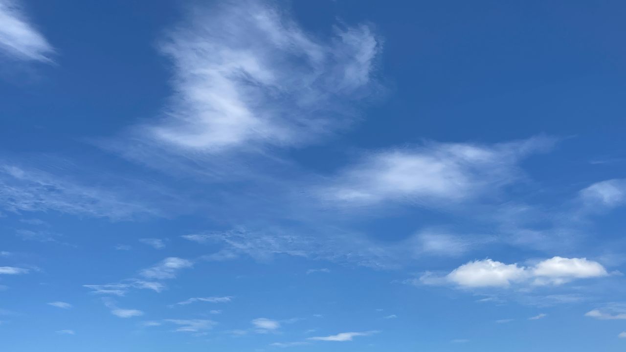 (Spectrum News 1)