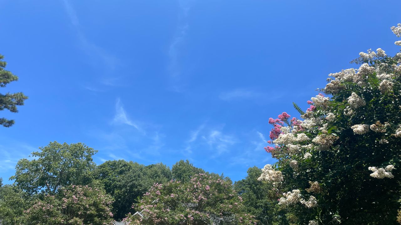 Worcester weather
