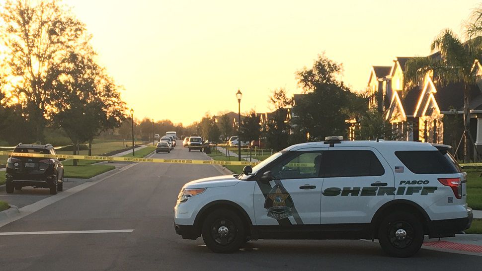 Four children 14 years old and younger were in the Land O' Lakes home when a Hillsborough County deputy shot and killed his wife, then himself, Pasco County Sheriff Chris Nocco said Monday morning. (Jason Lanning, staff)