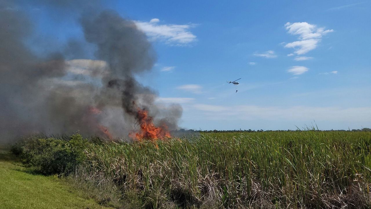 The St. Johns River Water Management District is conducting a 8,800-acre prescribed burn on Wednesday at Three Forks Conservation Area in Brevard County. (Courtesy: St. John's River Water Management District)