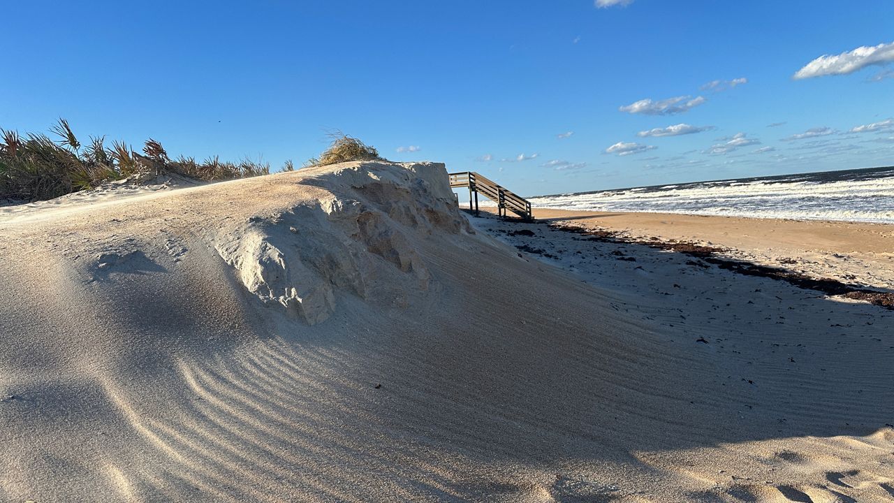 Flagler County officials are calling their Emergency Dune Project from last year a success after it protected homes and upland infrastructure from damage during Hurricanes Helene and Milton. (Spectrum News/Sasha Teman)