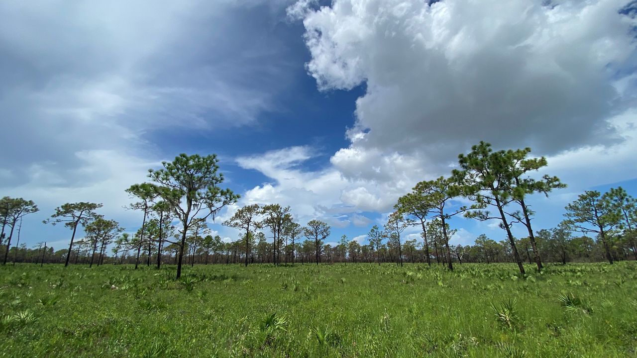 Explore the outdoors during the Florida Fish and Wildlife Conservation Commission’s “Florida WildQuest 2024” event that runs from April 27 through May 5. (Photo Courtesy: FWC)