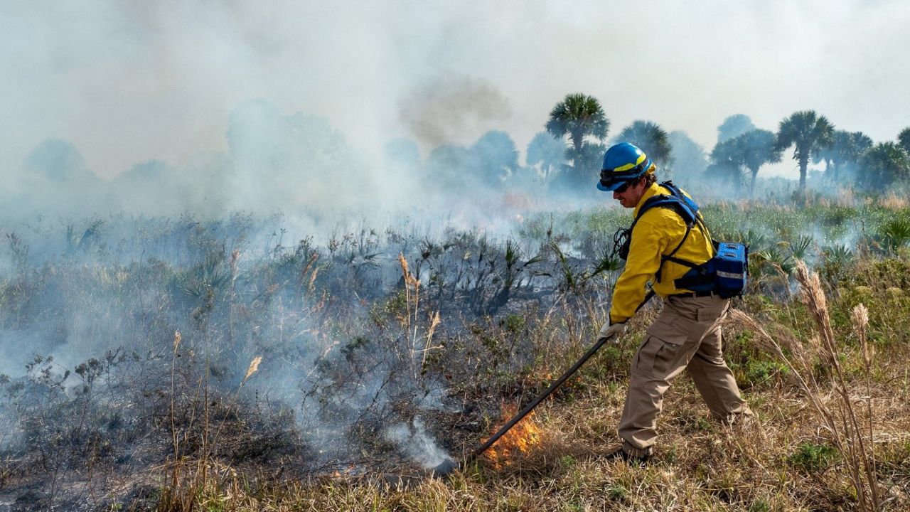 The St. Johns River Water Management District is conducting a 400-acre prescribed burn on Thursday, Jan. 9, at Fort Drum Marsh Conservation Area in Indian River County. (SJRWMD)