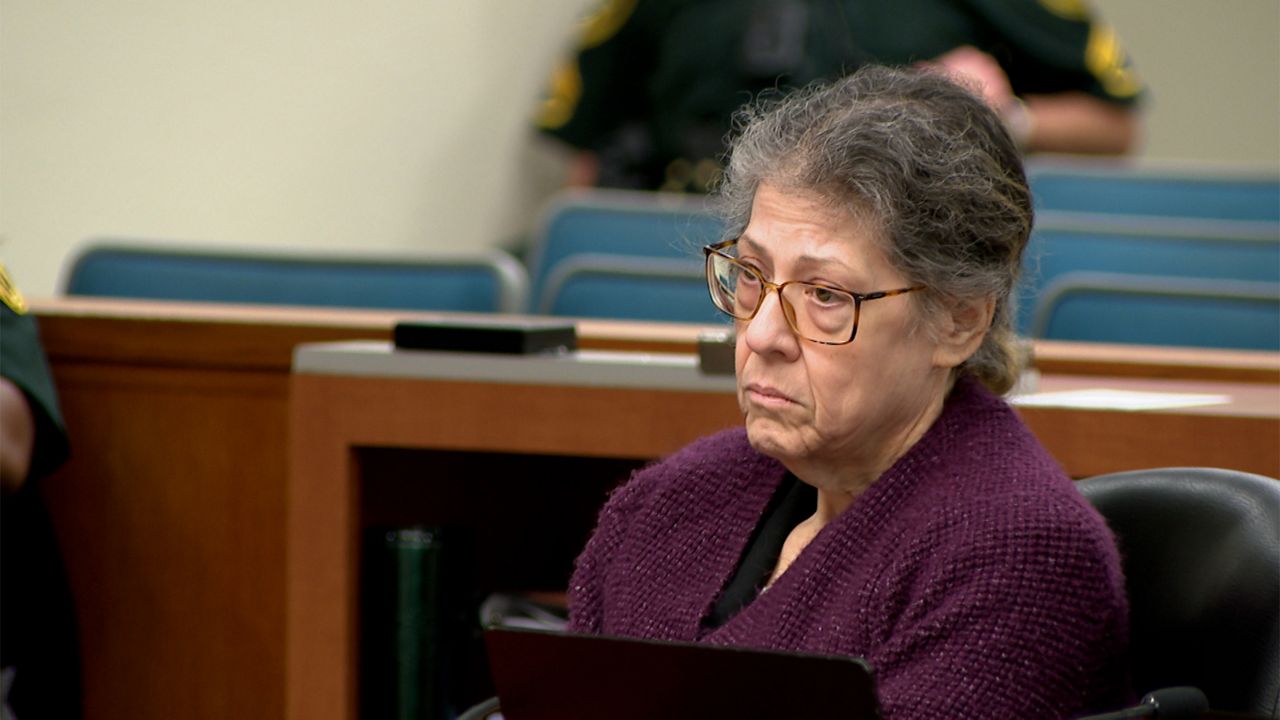 Susan Lorincz manslaughter trial: closing arguments on Friday