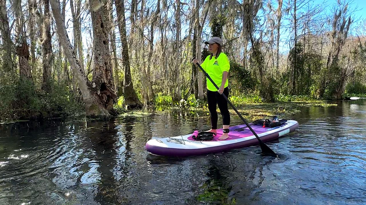 Monkey, manatees draw visitors to Silver Springs State Park