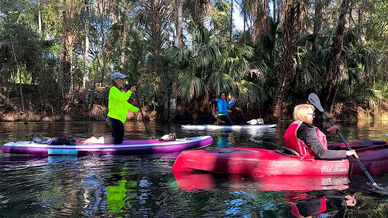 Monkey, manatees draw visitors to Silver Springs State Park