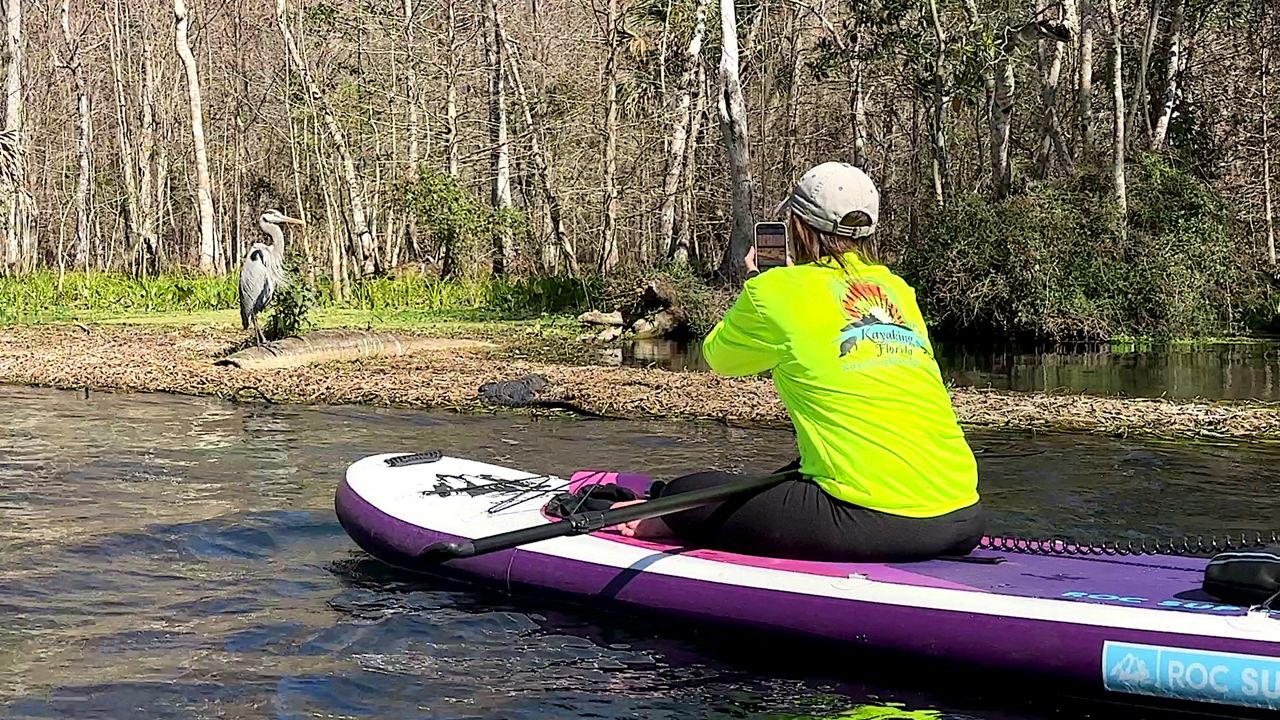 Monkey, manatees draw visitors to Silver Springs State Park