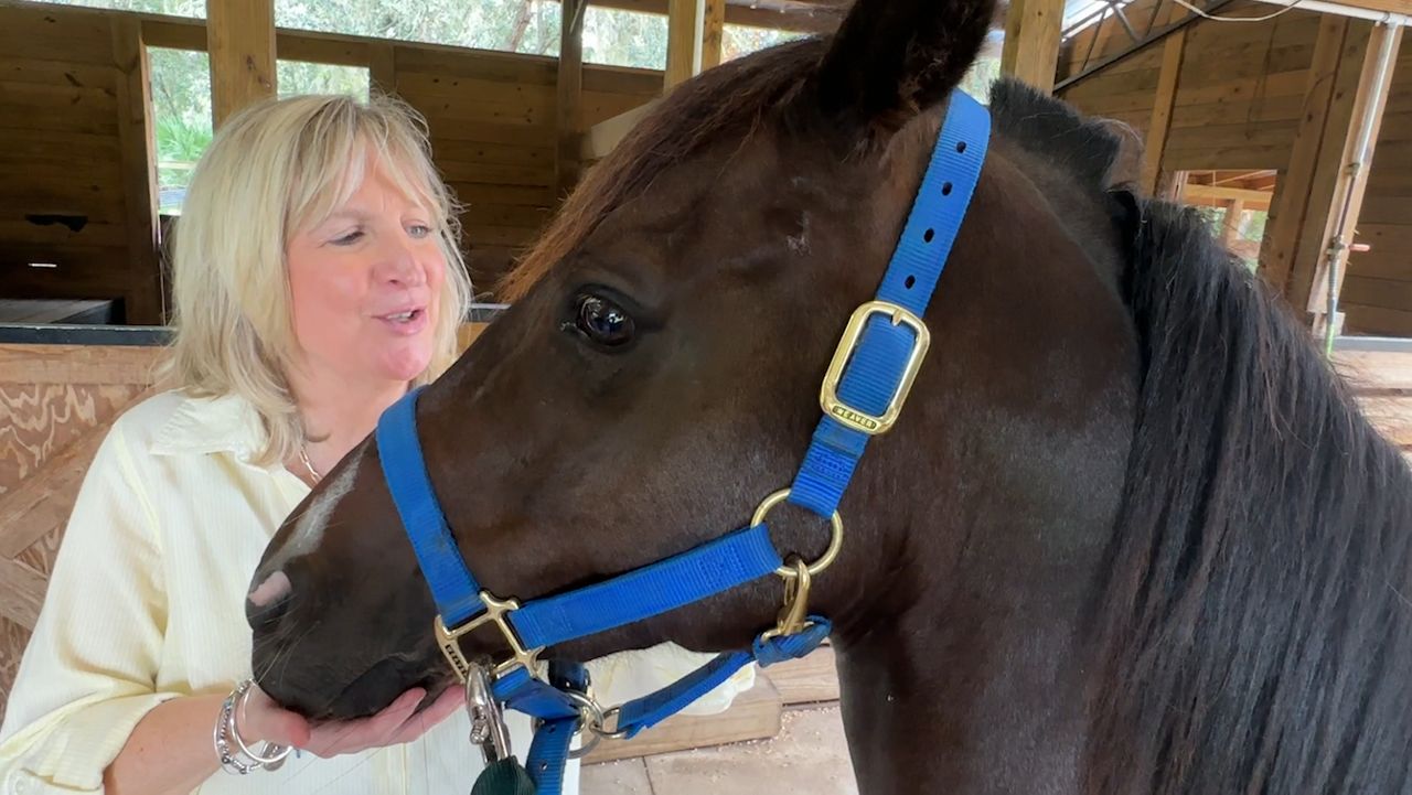 Florida families waiting on special-needs scholarship funds