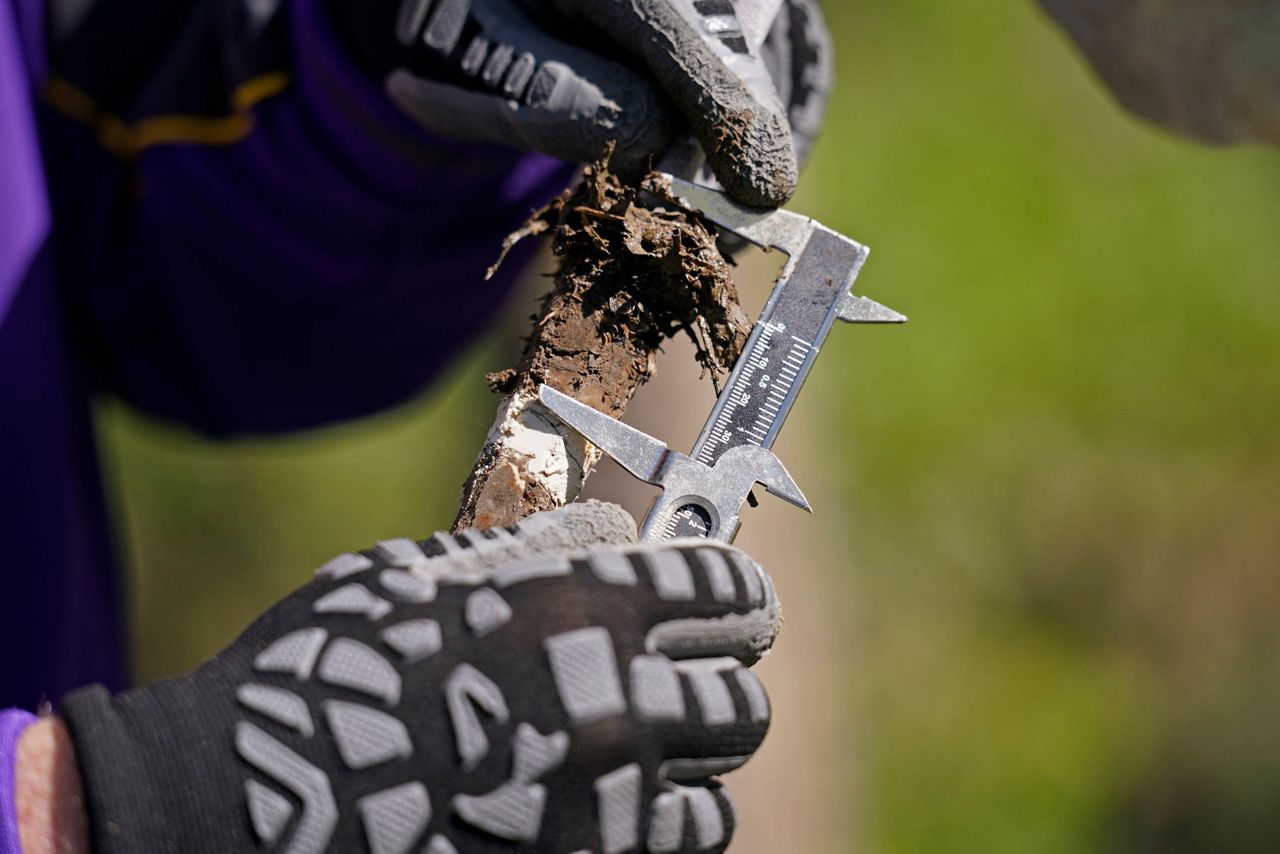 NASA looks at Louisiana delta system, eyes global forecasts