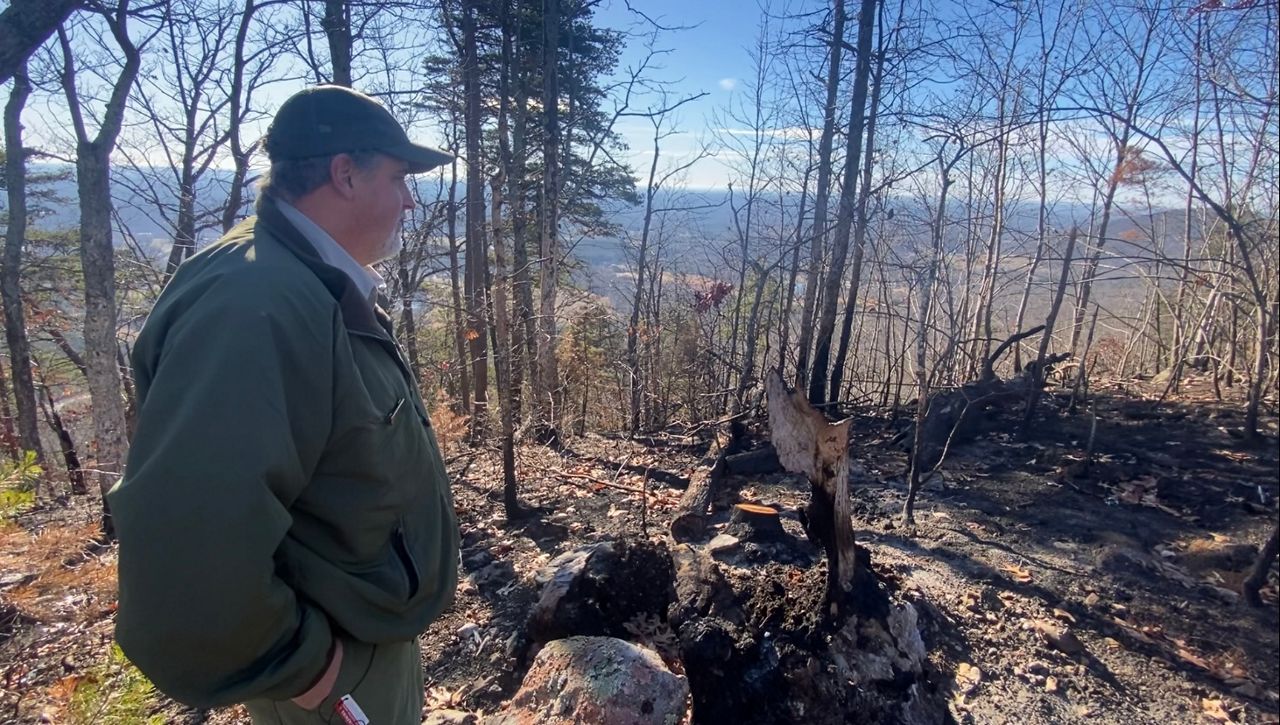 N.C. Forest Service County Ranger Jonathan Young looks over Sauratown Mountain, where a wildfire burned hundreds of acres last month. (Spectrum News 1/Zyneria Byrd)