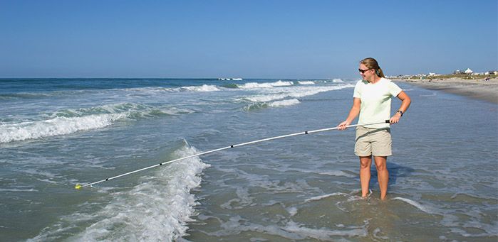 The North Carolina Department of Environmental Quality routinely tests over 200 beaches along the coast year-round (NCDEQ)