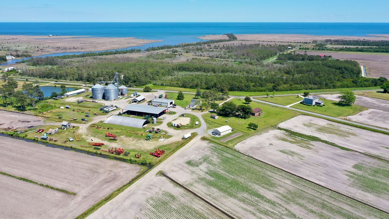 Forecasts for farmers: How an advance warning system could aid agriculture