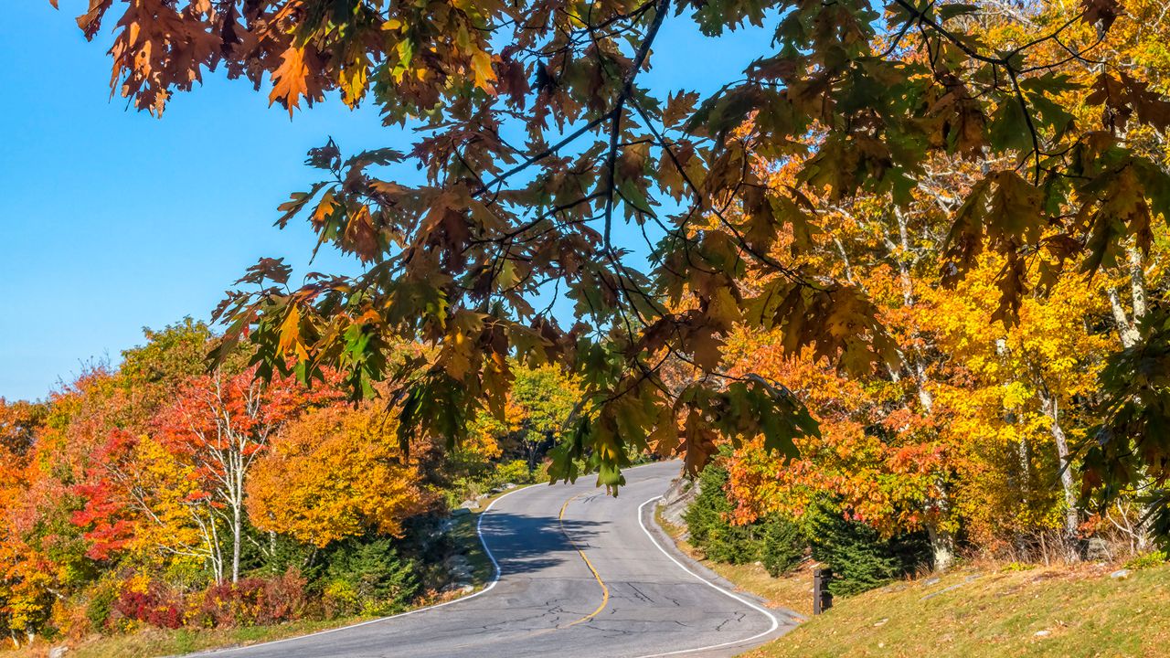 Fall foliage in North Carolina