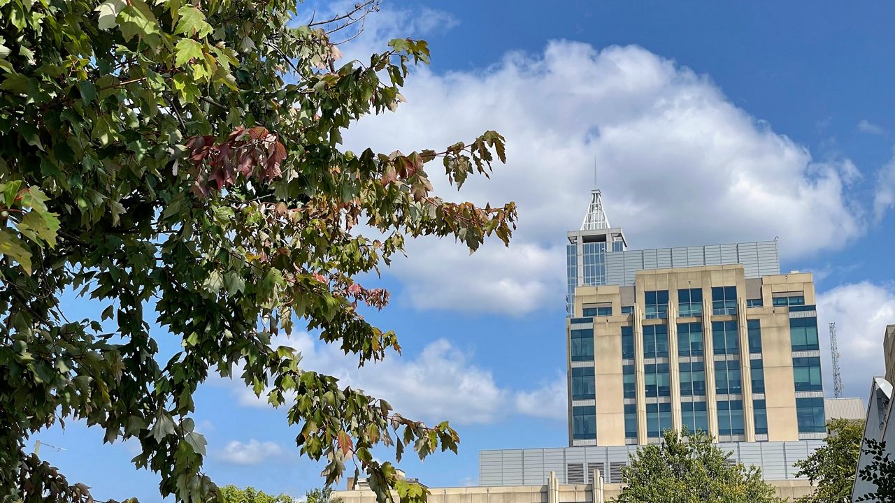 Fall color in Raleigh