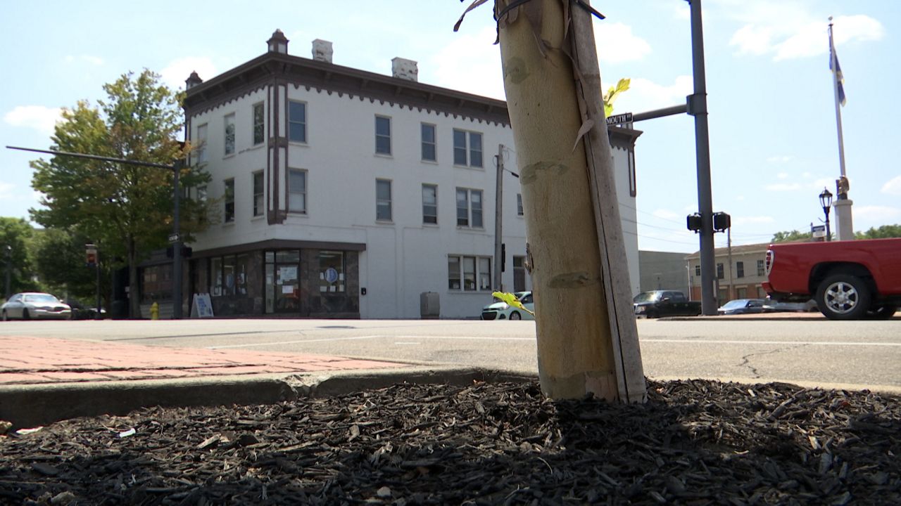 Federal grant helps Newport plant hundreds of trees