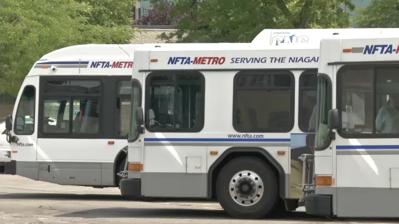 NFTA buses