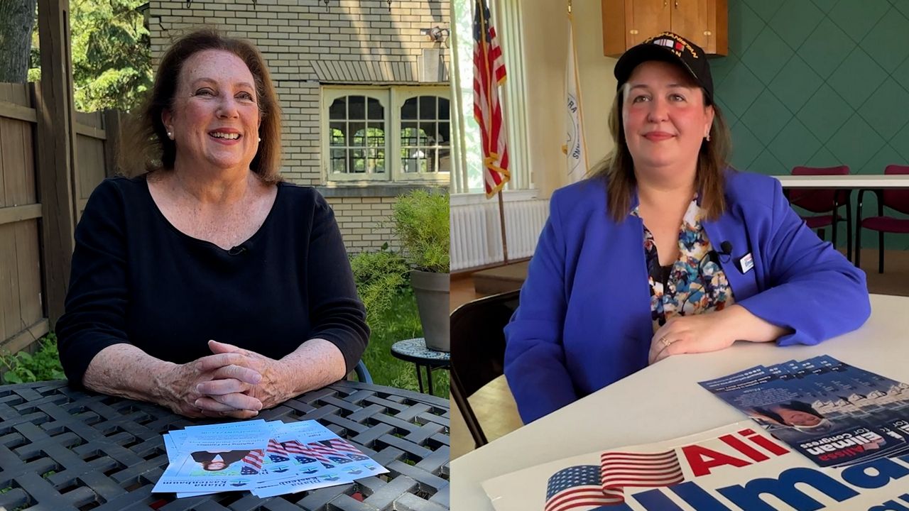 Meet the Democratic candidates for New York's 24th congressional district