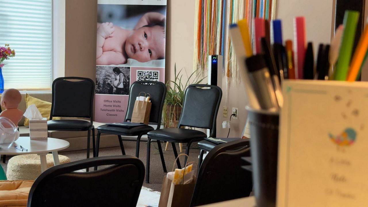 Filling the gap in maternal health care across N.Y.