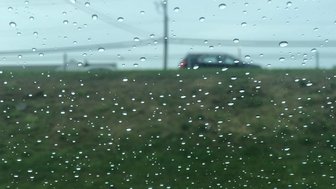 Rainy