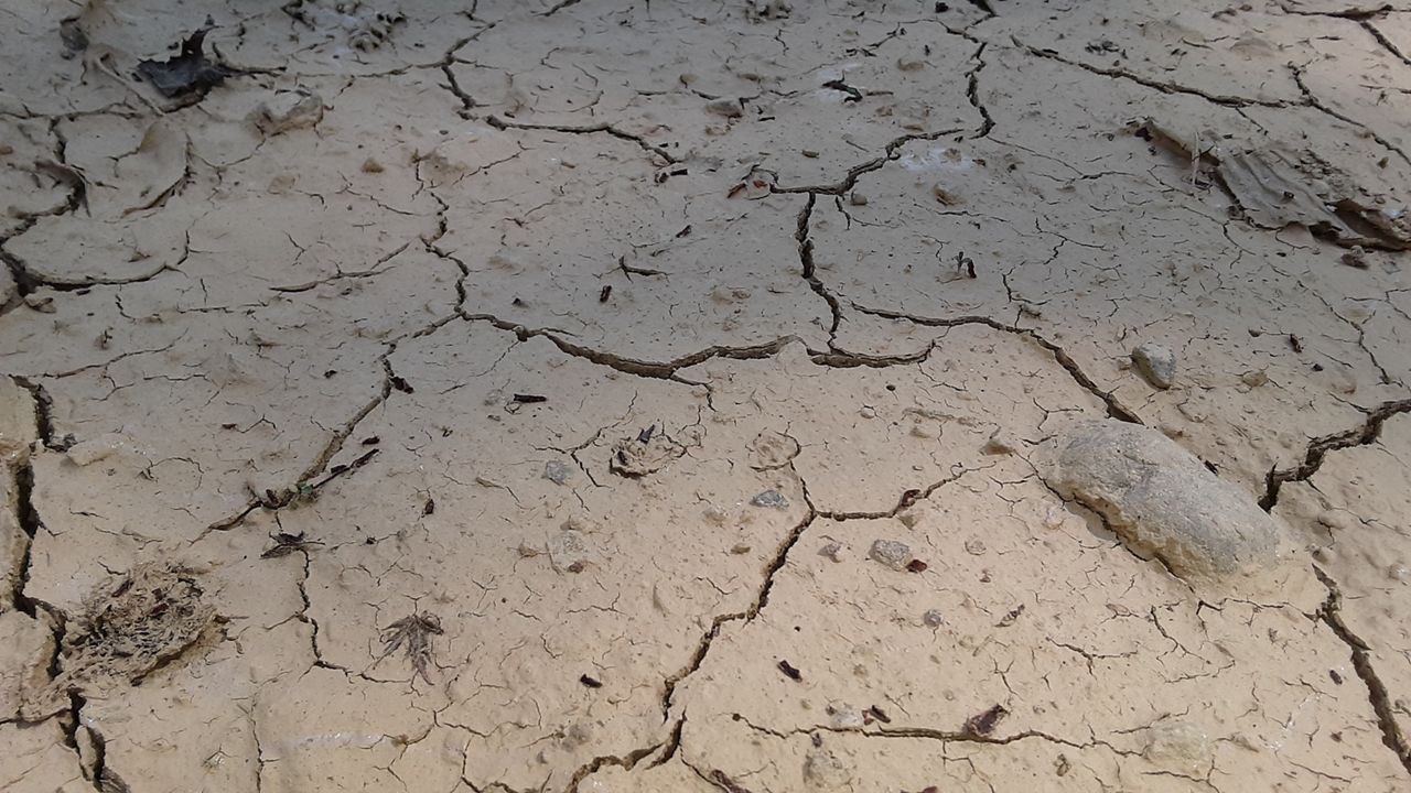 Dry ground