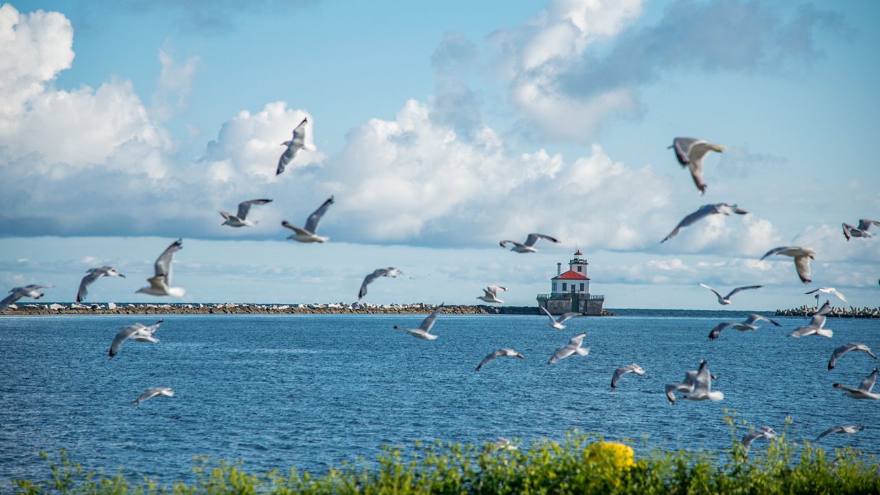 Oswego lighthouse